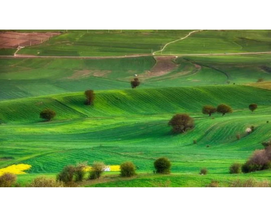 نمایندگی جنرال گلد در شهر ساری